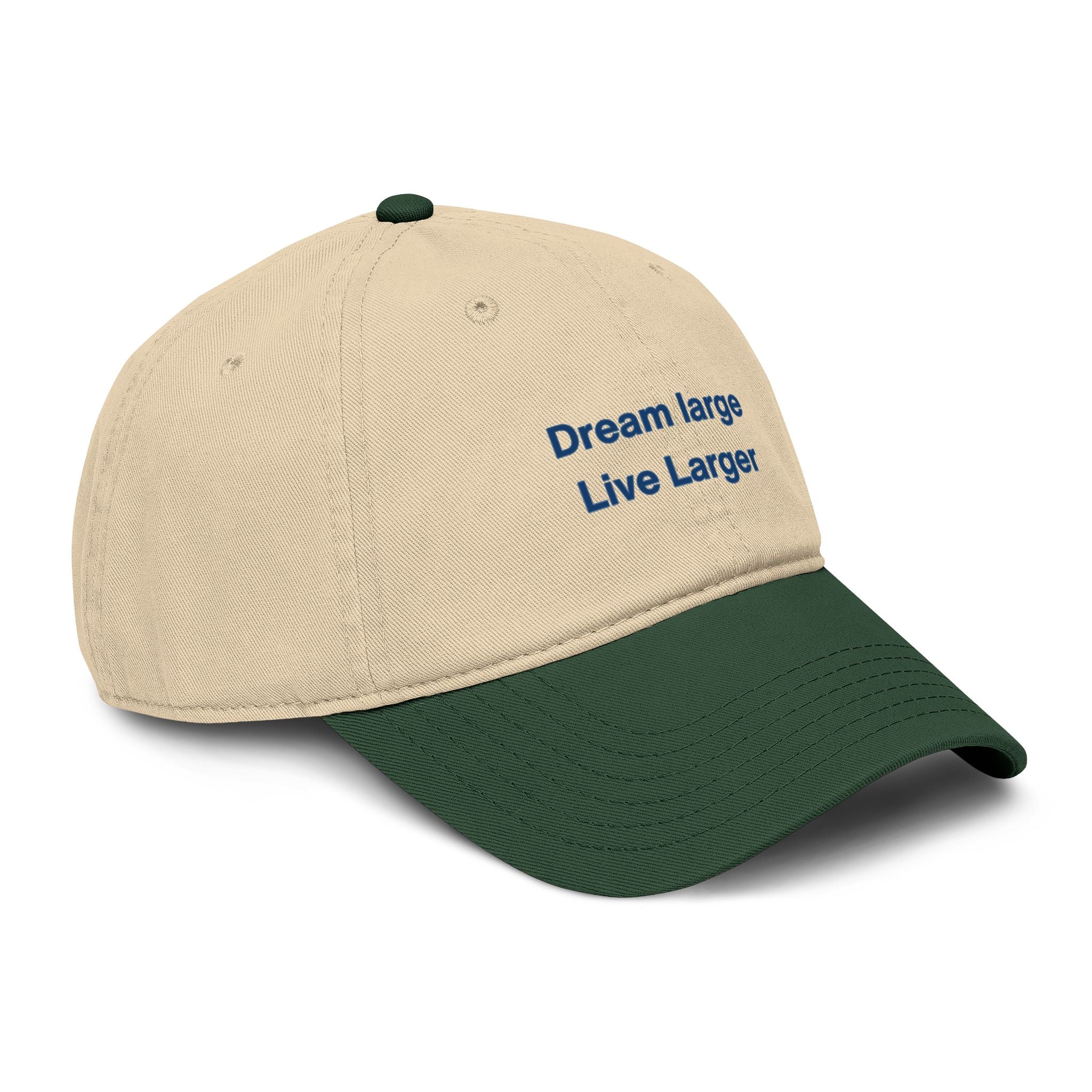 Embroidered 'Dream Large Live Larger' Washed Baseball Cap
